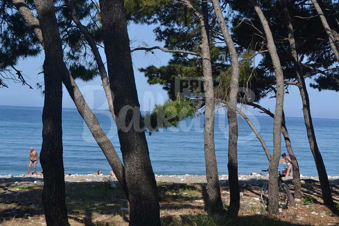 Апартаменты в Черногории недорого Апартаменты в Черногории