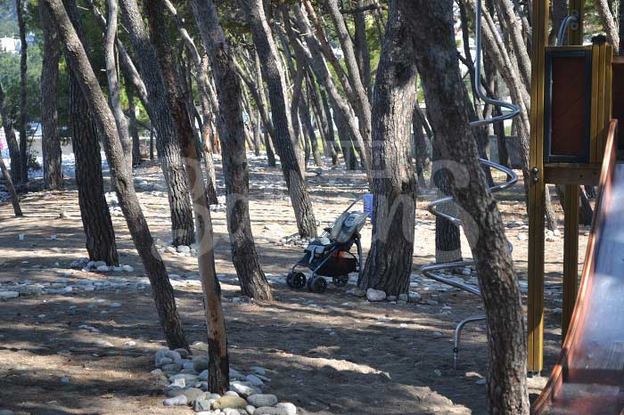 Апартаменты в Черногории недорого Апартаменты в Черногории